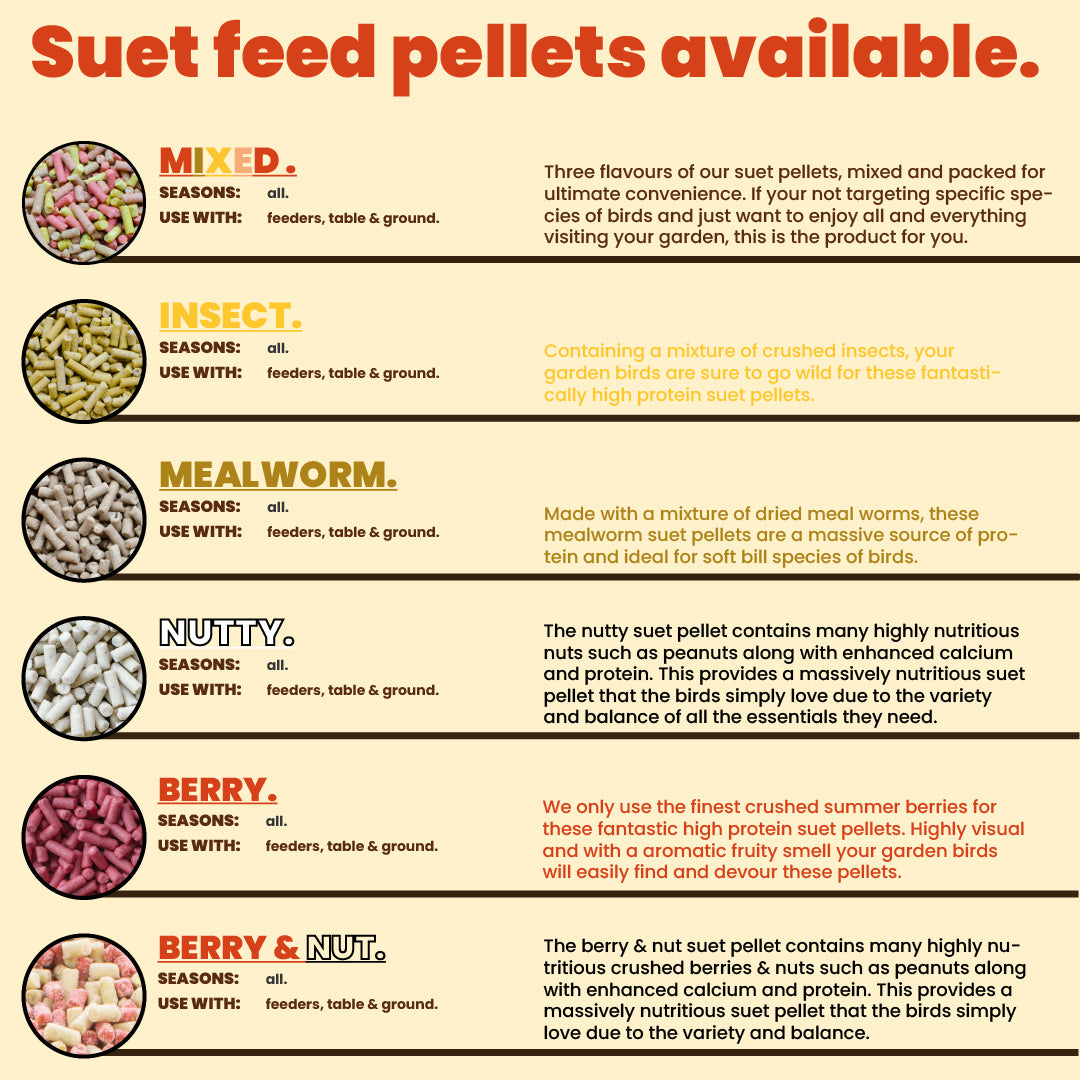 Black sunflower seeds 5kg-25kg