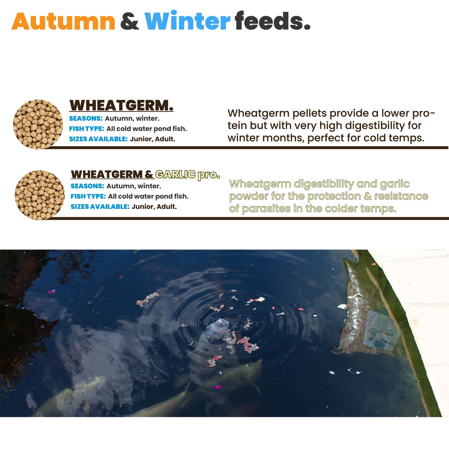 WHEATGERM pond feed pellets (JUNIOR)