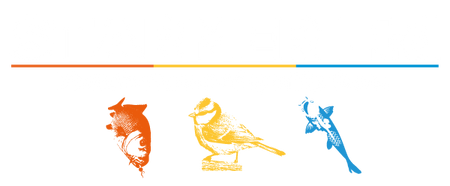 Starmer Ltd
